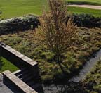 Photo Sep 15, 8 48 04 AM_thumb